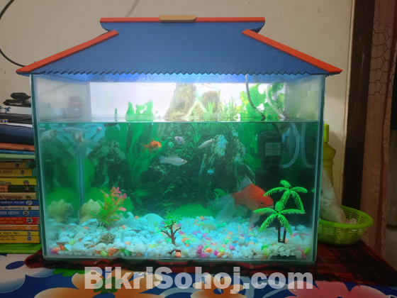 একুরিয়াম বিক্রি করা হবে